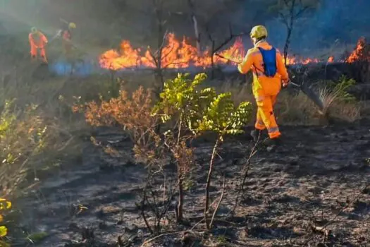 Situação de emergência por incêndio florestal cresceu 354% em agosto