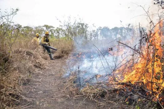 São Paulo tem 11 focos de incêndio nesta segunda (16), diz Defesa Civil