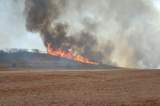 Primavera começa com alerta para risco de novos incêndios em São Paulo