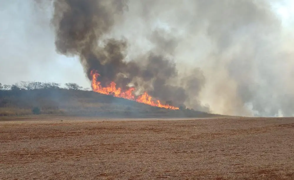 incendios-florestais