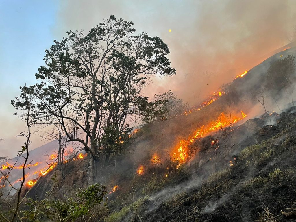 incendios-sp