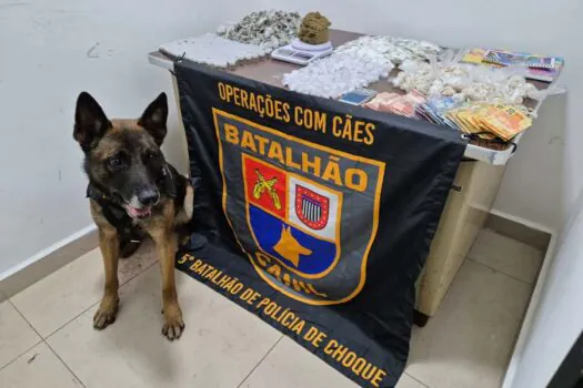 Cão da PM encontra drogas em galpão usado como ‘loja’ do tráfico