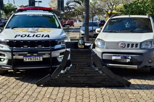 TOR prende motorista com quase 160 kg de maconha no interior de São Paulo