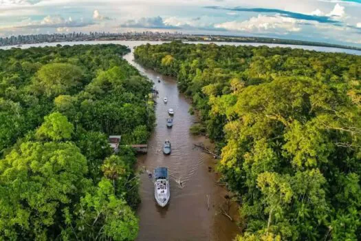 Três Poderes se unem em um Pacto pela Transformação Ecológica