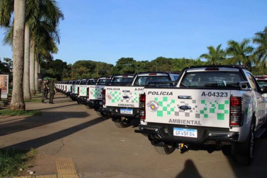 Homem é preso após atear fogo em mata na beira de estrada em Salto