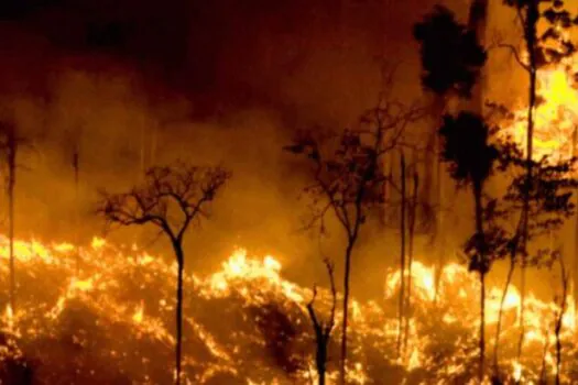 Aldeias indígenas afetadas por fogo no pantanal registram alta de problemas respiratórios