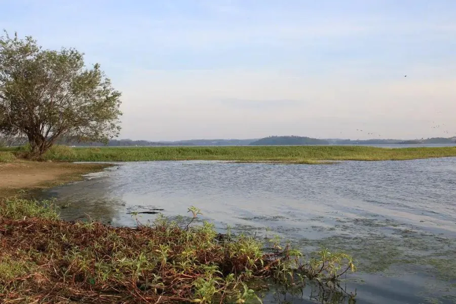 represa-guarapiranga