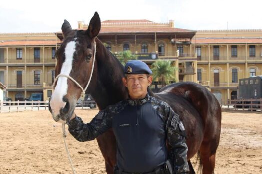 Sargento sonha em ter cavalo aposentado da PM depois de conviver com o animal por 14 anos