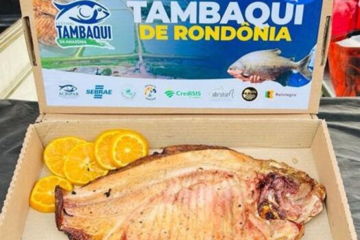 Acontece neste final de semana a Festa do Pescado de SP