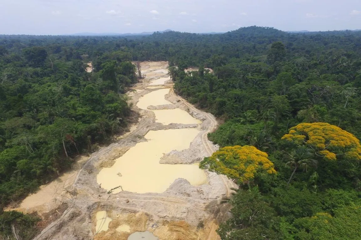 terra-indigena-yanomami