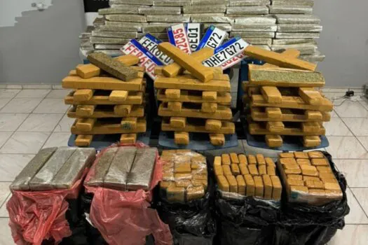 Polícia Civil de Santos intercepta caminhão com 590 quilos de maconha