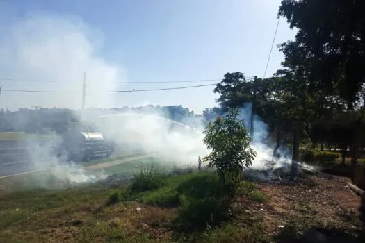 Acidentes provocados por fumaça disparam em rodovias de São Paulo