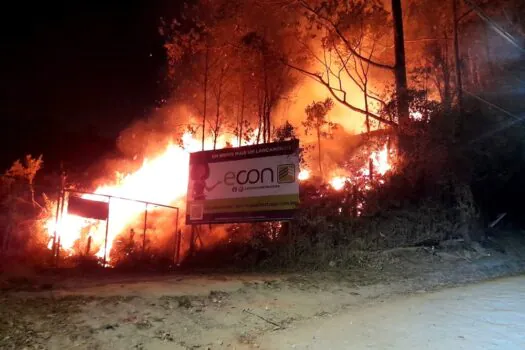 Santo André e São Bernardo se unem em combate a incêndio em área de mata do Parque Natural do Pedroso