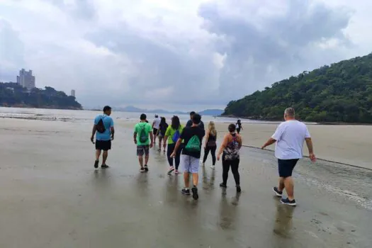 Dia Mundial do Mar: Ecovias e Ecopistas realizam mutirão de limpeza em praia de São Vicente 