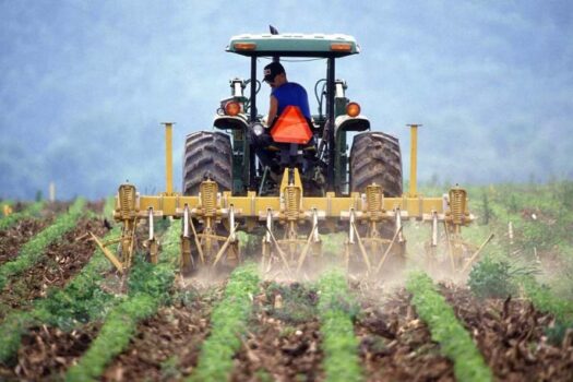 SP prevê programa para incentivar jovens no agro