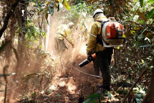 Governo Federal e estados unem esforços em estratégia integrada para combate e prevenção aos incêndios