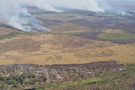 Emissão de gases por incêndios é recorde em dois estados