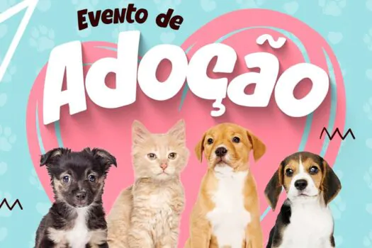 Shopping ABC recebe 2ª edição da Feira de Adoção de Cães e Gatos