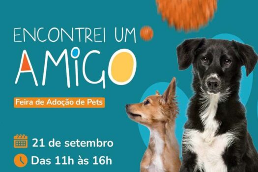 Animais resgatados buscam um novo lar em feira de adoção do Shopping Frei Caneca