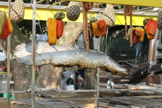 Festa Tem Peixe na Vila é sucesso de público