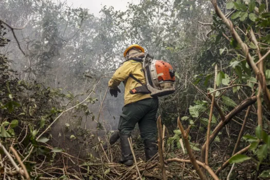 Ibama multa fazendeiros em R$ 100 milhões por incêndio no Pantanal