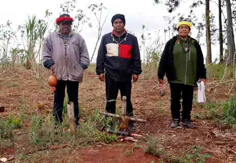 Áreas de retomada guarani em MS enfrentam dificuldades e violência