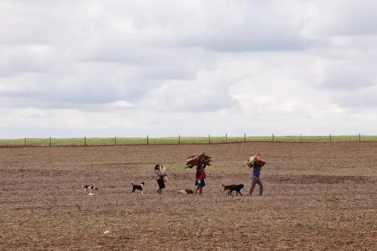 Áreas de retomada guarani em MS enfrentam dificuldades e violência