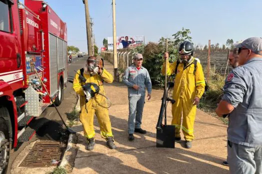 Defesa Civil, Bombeiros e voluntários combatem queimada em Nova Odessa