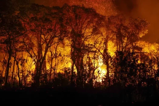 Ferrovia que causou incêndio no pantanal acumula multas ambientais