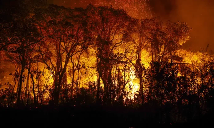 incendio-pantanal