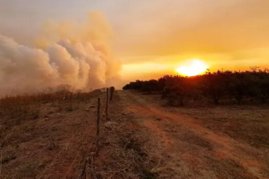 São Paulo não registra nenhum foco de incêndio neste domingo (22)