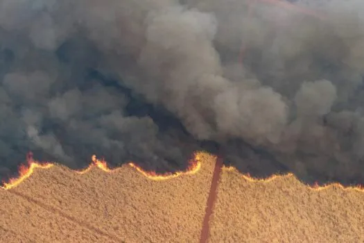 Agronegócio estima prejuízo de R$ 14,7 bilhões com incêndios