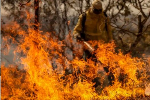 Brasil tem 22,38 milhões de hectares atingidos pelo fogo em nove meses