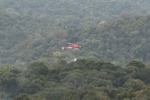 Combate aéreo e terrestre do Governo controla incêndios em parques de SP