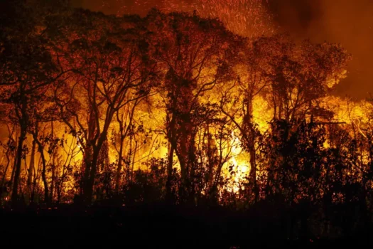 Defensoria Pública pede combate a incêndios em terras indígenas do MT