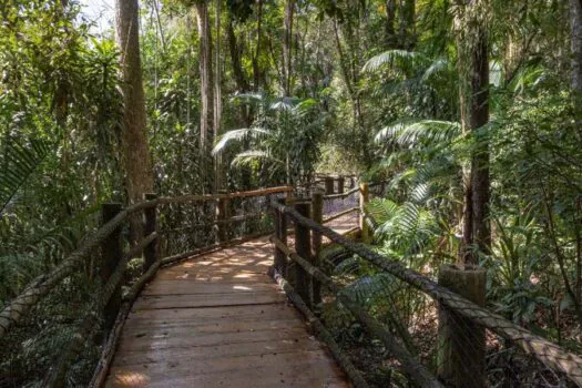 7 de setembro: Jardim Botânico abriga nascente do riacho do Ipiranga