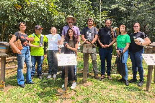 Jardim das Abelhas do Parque do Guapituba completa um ano