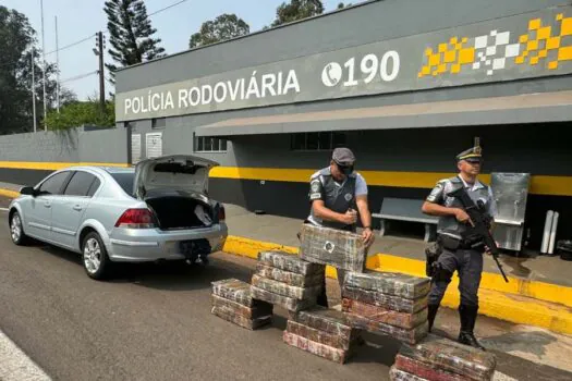 Motorista com 300 kg de maconha é preso no interior de SP