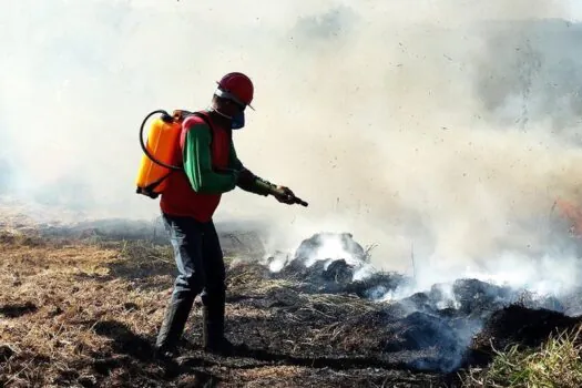 Governo de SP já aplicou mais de R$ 21 milhões em multas na Operação SP sem Fogo