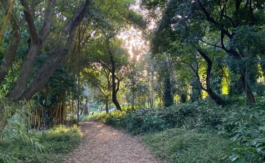 parque-brigadeiro-faria-lima