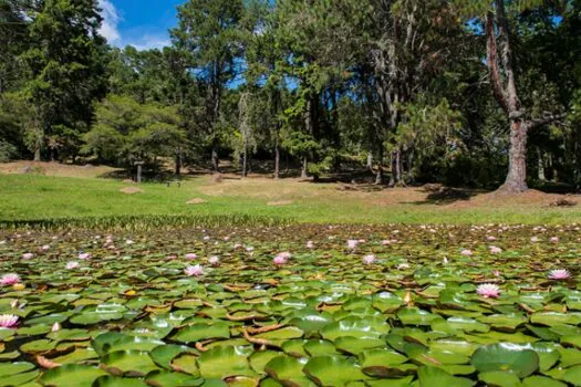 Parques estaduais de São Paulo reabrem nesta segunda (30)