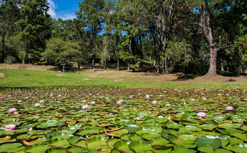 parques-sp