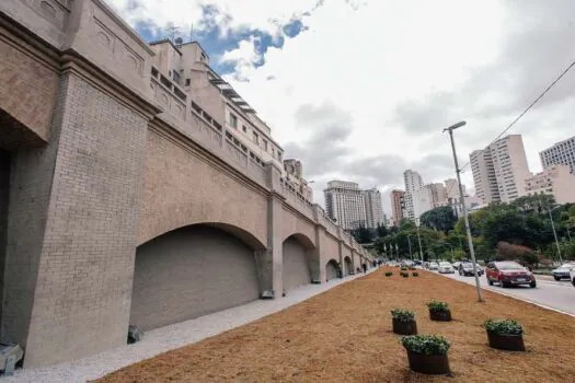 Dia da Árvore: APM planta mudas em parceria com Prefeitura de SP