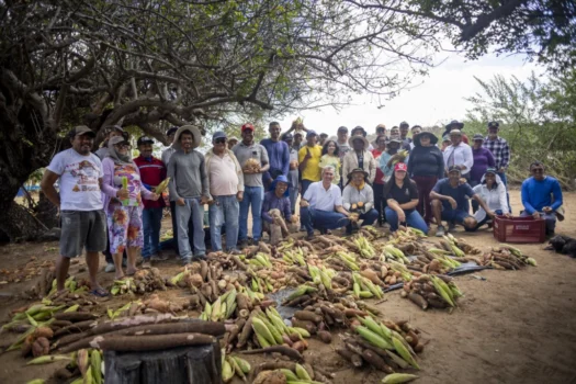 Professor é premiado por distribuição de alimentos biofortificados e combate a fome no sertão