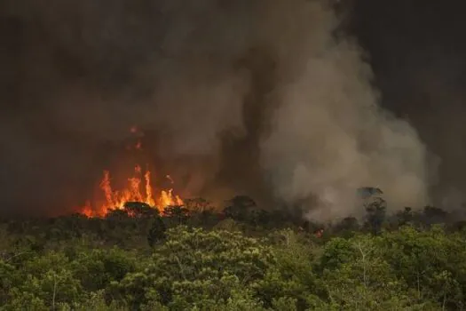 Chega a 15,4 milhões o número de pessoas afetadas pelas queimadas, diz CNM