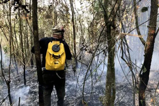 Governo de SP amplia número de equipes para combate a incêndios nos parques do estado