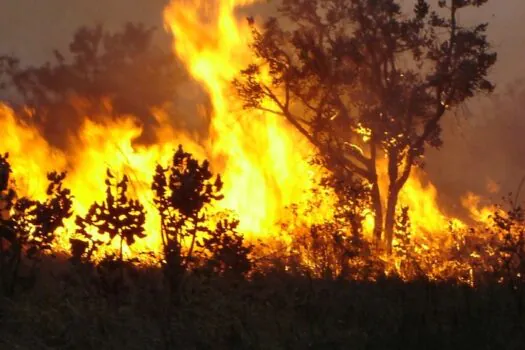 Maior parte do estado de SP terá alertas de emergência para incêndio até domingo (22)