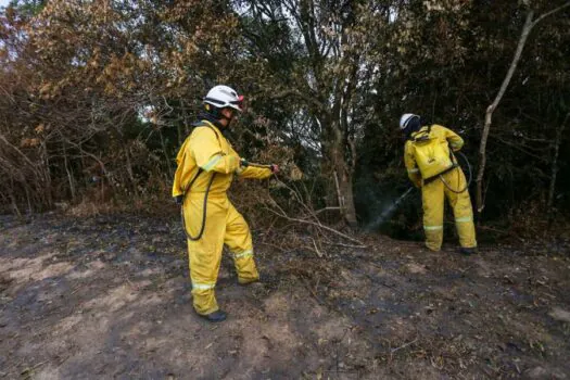 Governo de SP prorroga fechamento dos Parques Estaduais para evitar incêndios