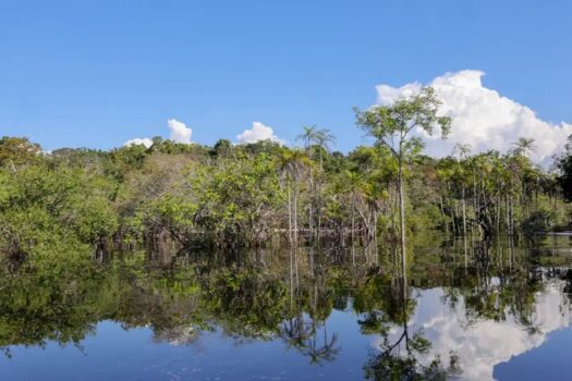 Rio Negro pode passar por pior seca da história ainda esta semana