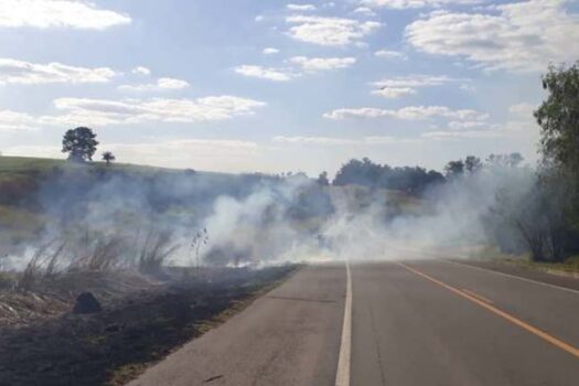 SP investe R$ 65 milhões na prevenção de incêndios na beira de rodovias